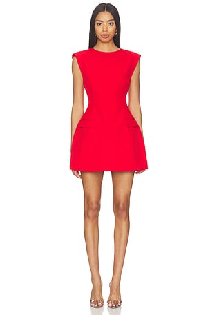 Cariss Mini Dress Curaae by Elliatt