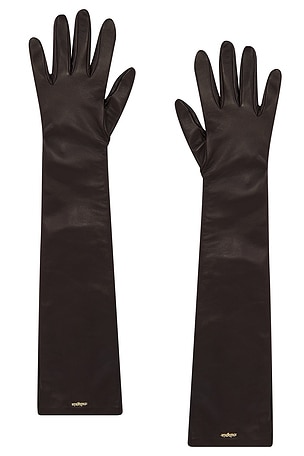 Zya Gloves Cult Gaia