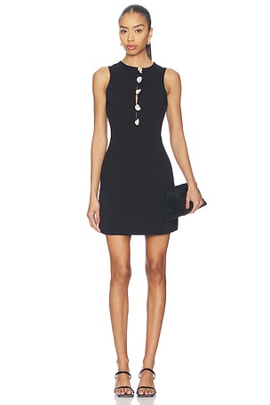 Doms Dress Cult Gaia