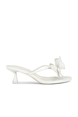 Addison Sandal Cult Gaia