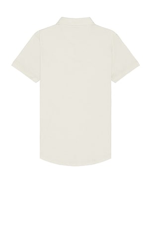 Cuts AO Polo in Cream