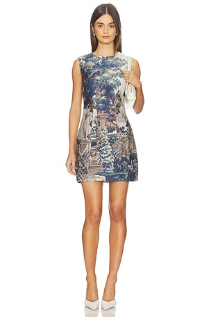 Denim Mini Dress Courtney Zheng