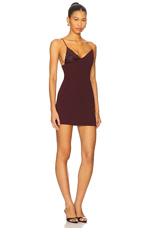 David Koma Crystal Embroidered Mini Dress in Burgundy