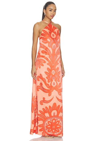 DIARRABLU Aria Dress in Rose