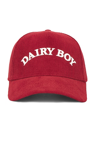 Arch Corduroy Trucker Hat Dairy Boy