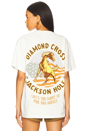 American Horse Diamond Cross Ranch