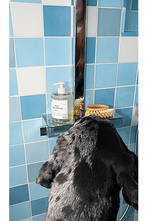 DedCool Pet Shampoo 01 Taunt