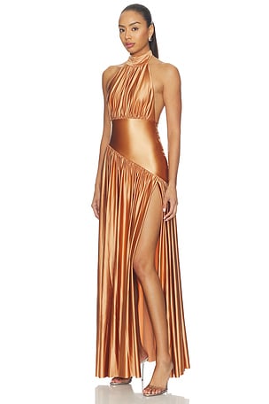 DELFI Laurel Dress in Rust