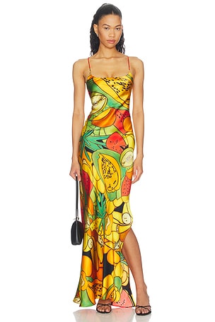 Frutas Silk Satin Long Dress Donde Esteban