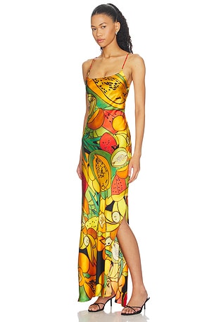 Donde Esteban Frutas Silk Satin Long Dress in Orange