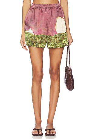 La Sierra Silk Shorts Donde Esteban