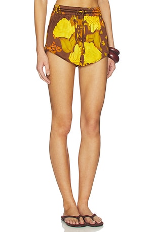 Donde Esteban Veranera Mini Shorts in Brown