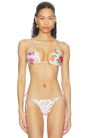 Pajaritos Y Rosas Bikini Top Donde Esteban $658 NEW