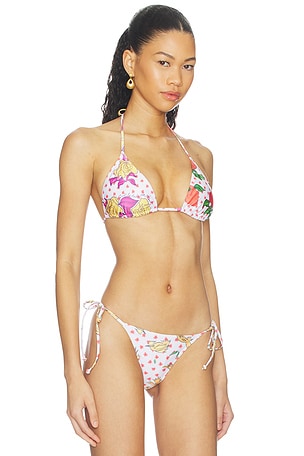 Donde Esteban Pajaritos Y Rosas Bikini Top in Beige & Multi
