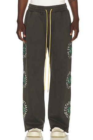 Sol Sweatpant Diet Starts Monday