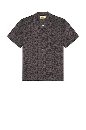 Black Cat Button Up Shirt Duvin Design