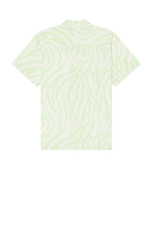 Duvin Design Zebra Shirt in Green