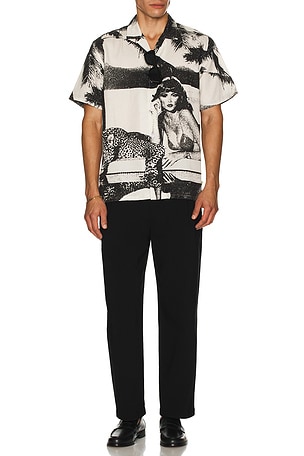 Pool Cat Buttonup Shirt Duvin Design