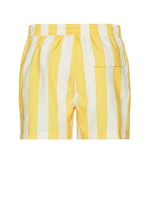 Duvin Design Traveler Swim Short in Yellow