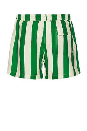 Duvin Design Traveler Swim Shorts in Green