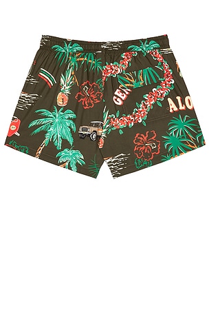 Duvin Design Palm Swim Short in Brown