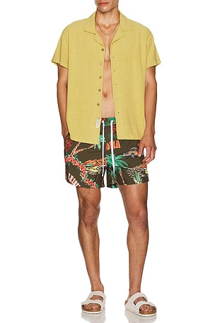Palm Swim Short Duvin Design