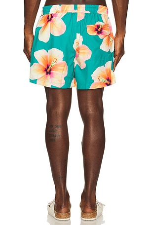 Duven Design SHORT en Vert