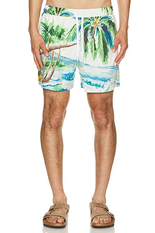 Postcard Swim Shorts Duvin Design