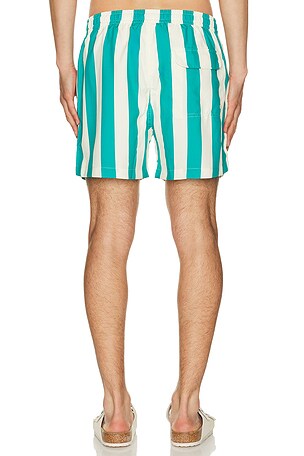 Duvin Design Travel Swim Shorts in Cream,Green