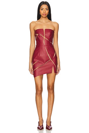 Healing Of A Broken Heart Mini Dress Di Petsa