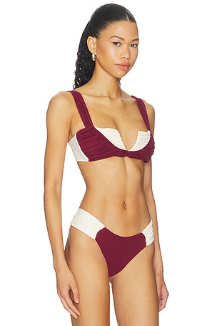 Divino Seas Eclat Bikini Top in Burgundy