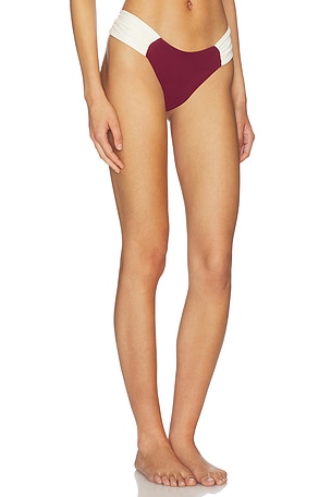 Divino Seas Eclat Bikini Bottom in Burgundy