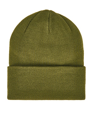 Dickies Tall Cuff Beanie in Green