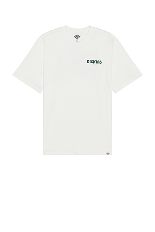 Dickies Gordonsville Short Sleeve Tee in White