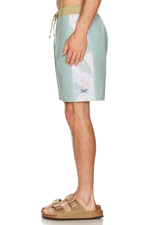 Dark Seas Rincon Boardshort in Sage