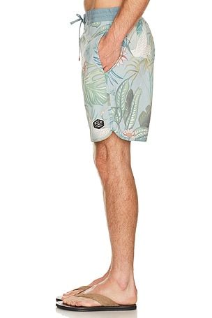 Dark Seas Sennit Boardshort en Vert