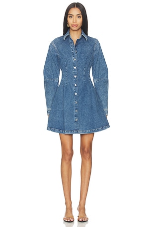 Joice Mini Dress DL1961