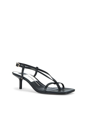 Dolce Vita Laury Sandal in Black
