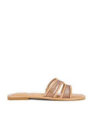ZAPATO PLANO FLORI Dolce Vita