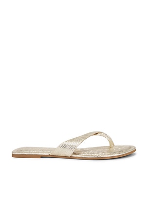 Lenex Thong Sandal Dolce Vita