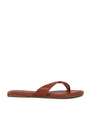 Lenex Thong Sandal Dolce Vita