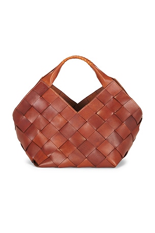 Botteghe Hand Held Bucket Bag Dragon Diffusion