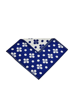 Lisa Washcloth Dusen Dusen