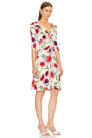 Diane von Furstenberg Jim Dress in Red