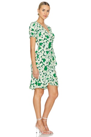 Diane von Furstenberg Emilia Dress in Green