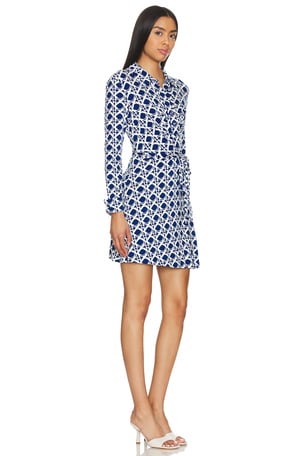 Diane von Furstenberg Didi Dress in Blue