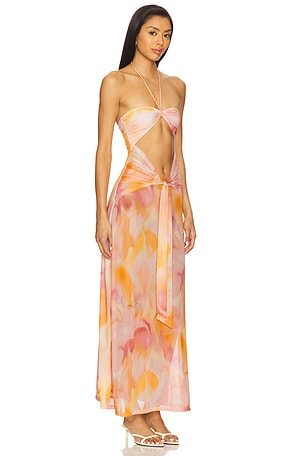 DEVON WINDSOR Berrie Dress in Orange,Peach