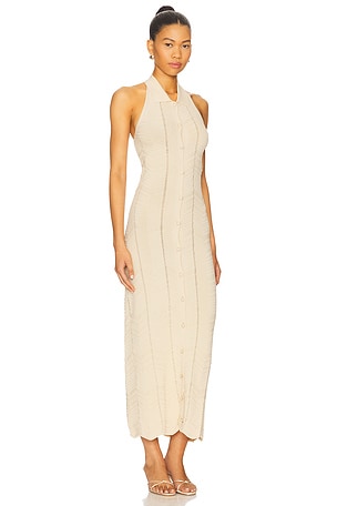 DEVON WINDSOR Val Dress in Beige