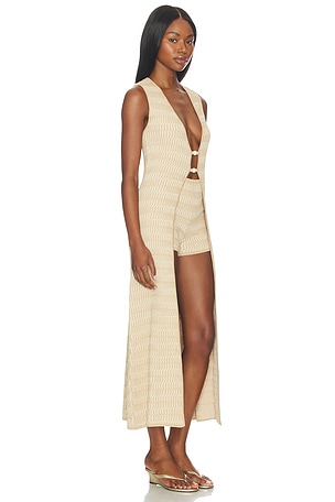 DEVON WINDSOR Garcelle Robe in Metallic Gold