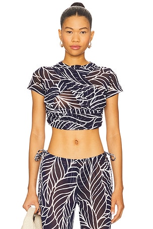 Alder Top DEVON WINDSOR